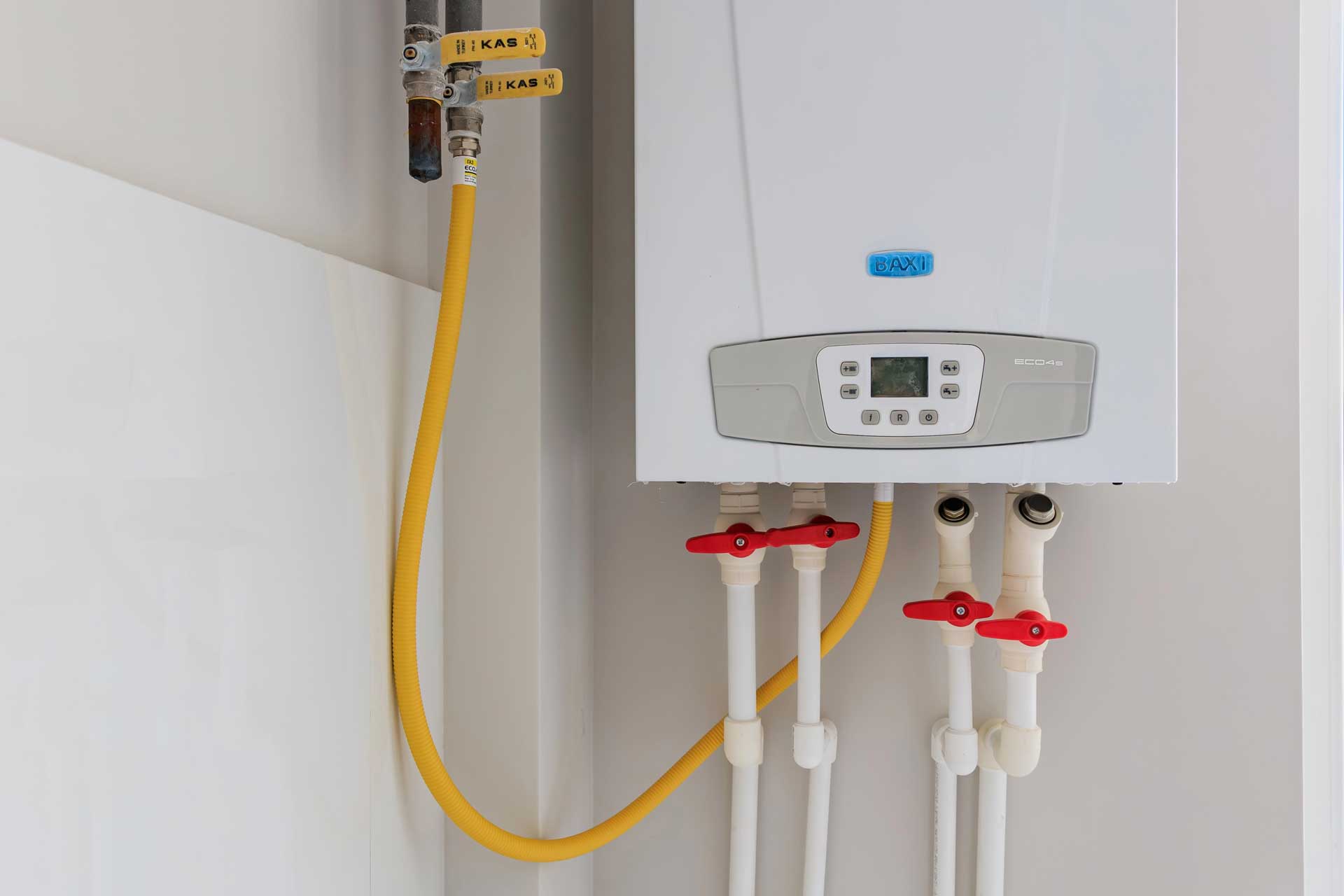 Tankless water heater flush hardware